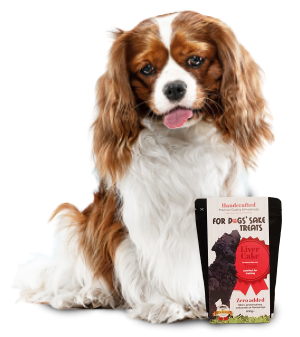 dogwithtreats